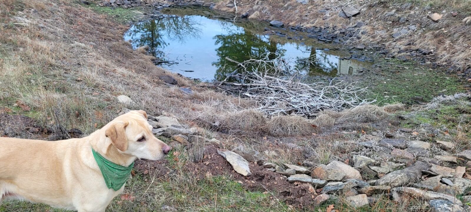 Emma by the campfire