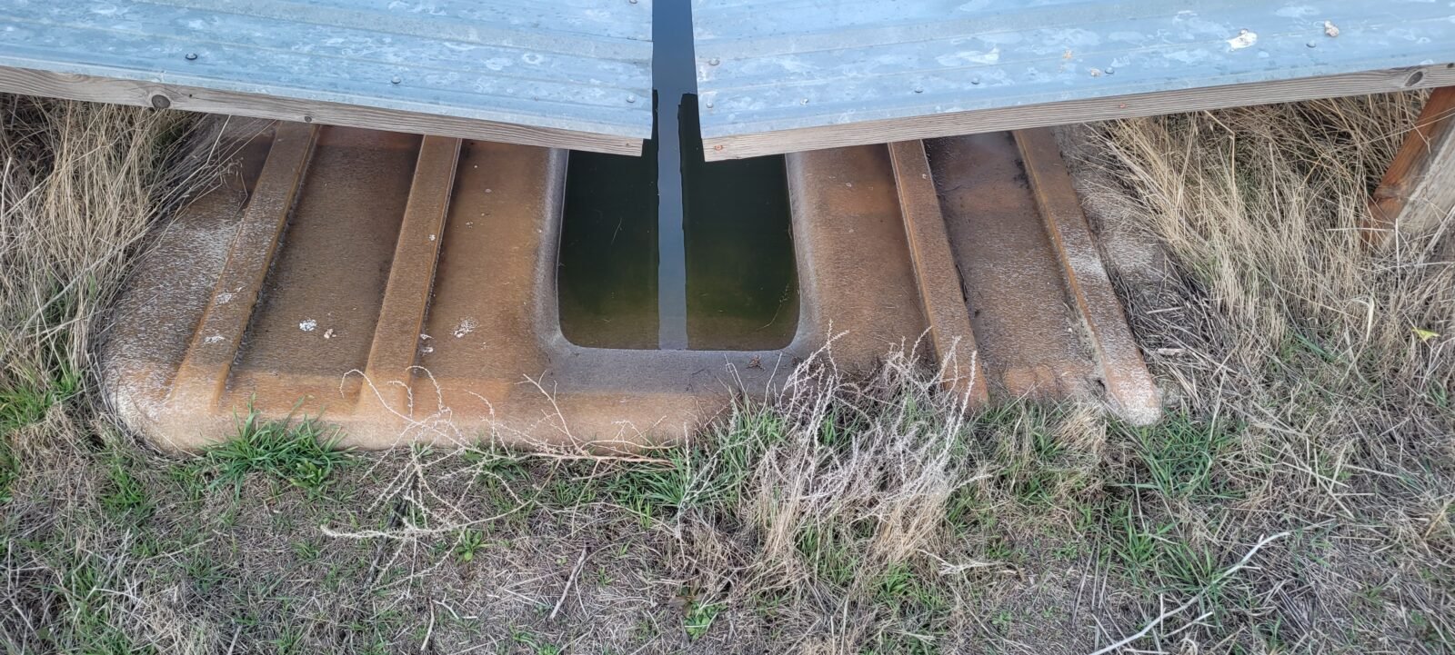 This guzzler is equipped with  an escape ram for smaller creatures.