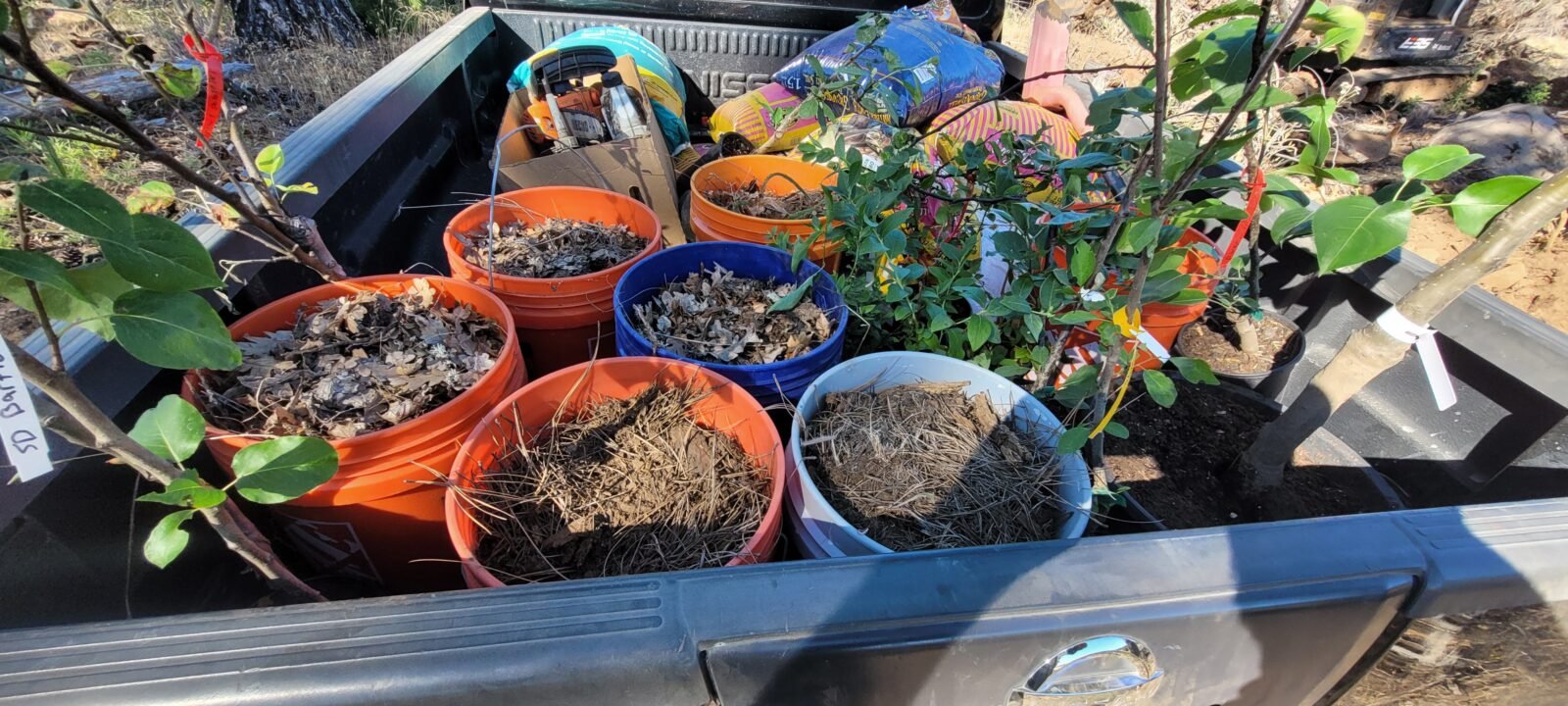 A few of the plants being planted at Stony Oasis Farms.