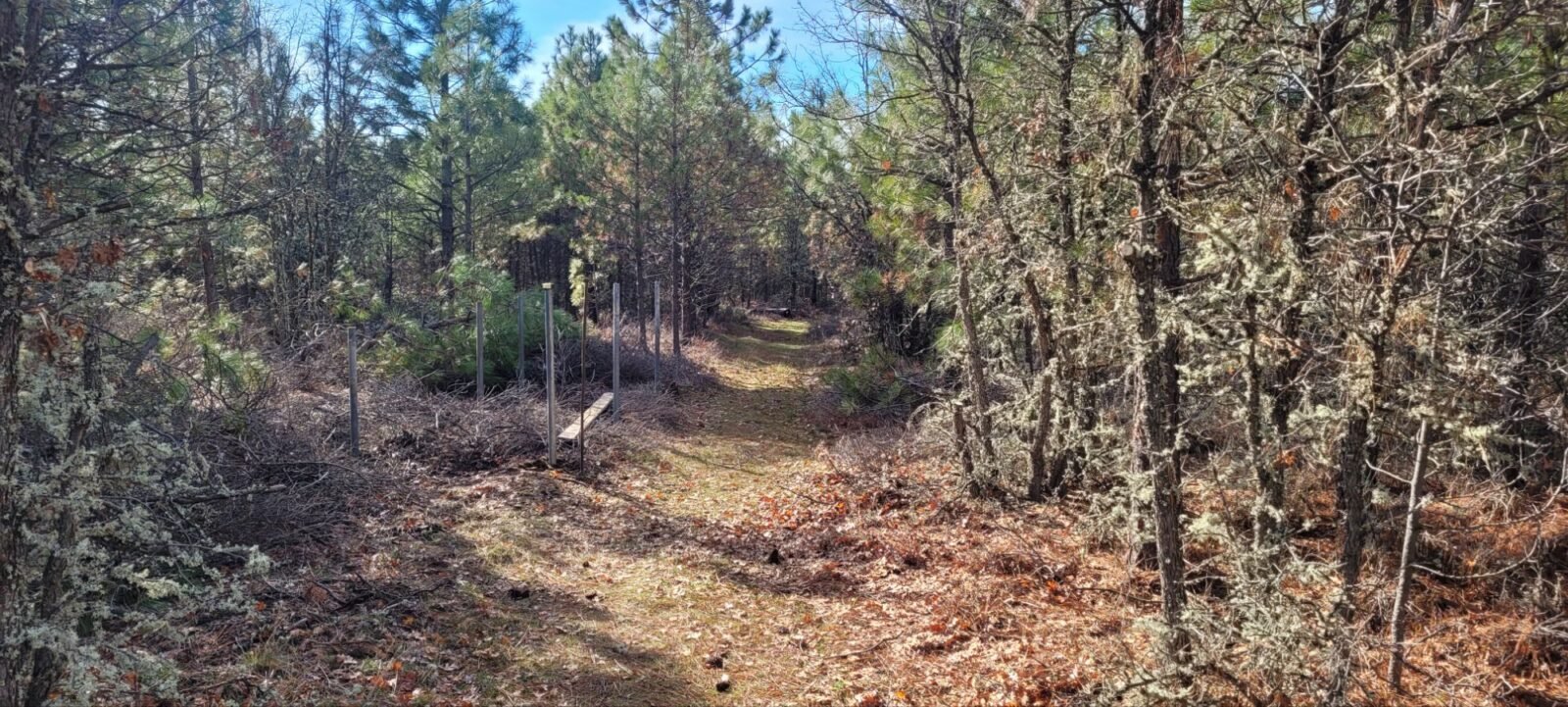Clearing the way to work on the wildlife guzzler with my excavator