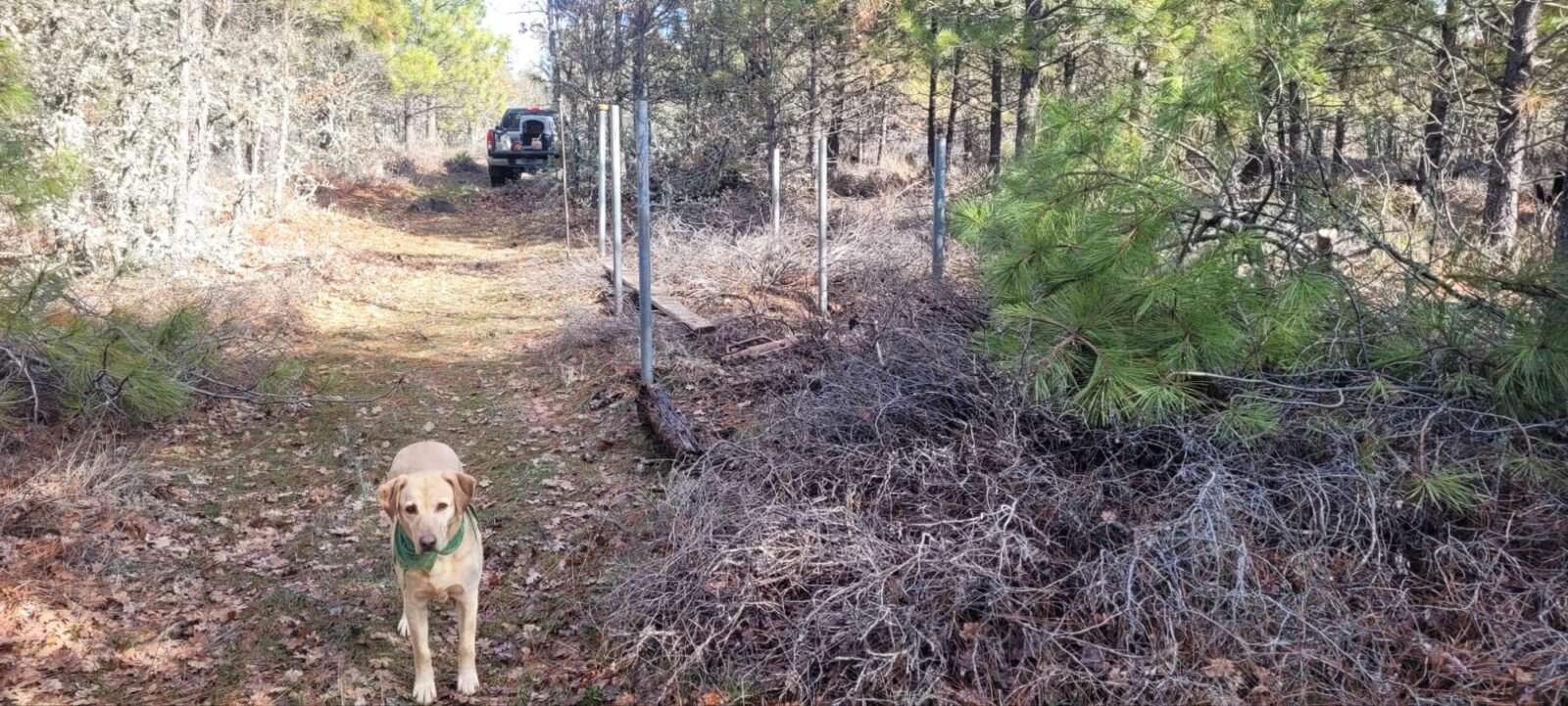 Metal posts for one half of the roof of the wildlife guzzler.
