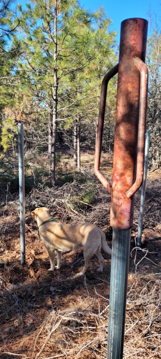 This is how you pound the posts in. Fence Post Pounder...