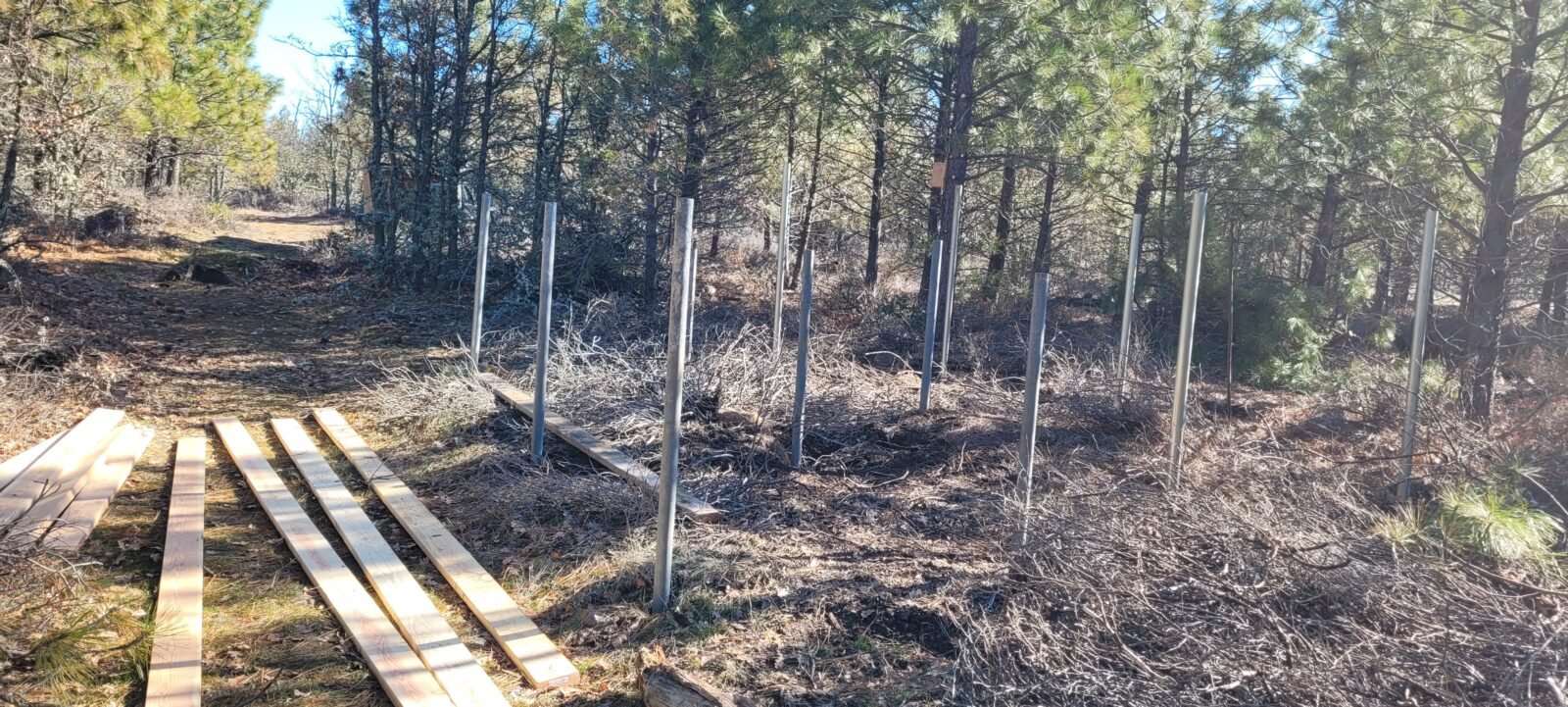 The rest of the posts pounded in, now to cut them off to height.